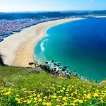 With Garden And Barbecue Nazare