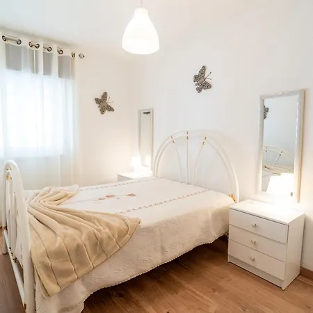 Vakantiehuis With Garden And Barbecue