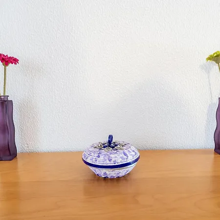 With Garden And Barbecue * Nazaré