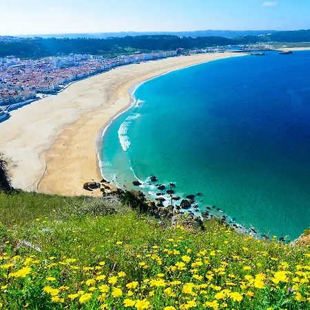 With Garden And Barbecue Nazaré